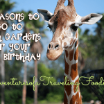 7 Reasons to Go to Busch Gardens for Your Kids Birthday