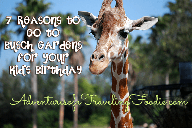 7 Reasons to Go to Busch Gardens for Your Kids Birthday #travel #birthday #kids #BuschGardens
